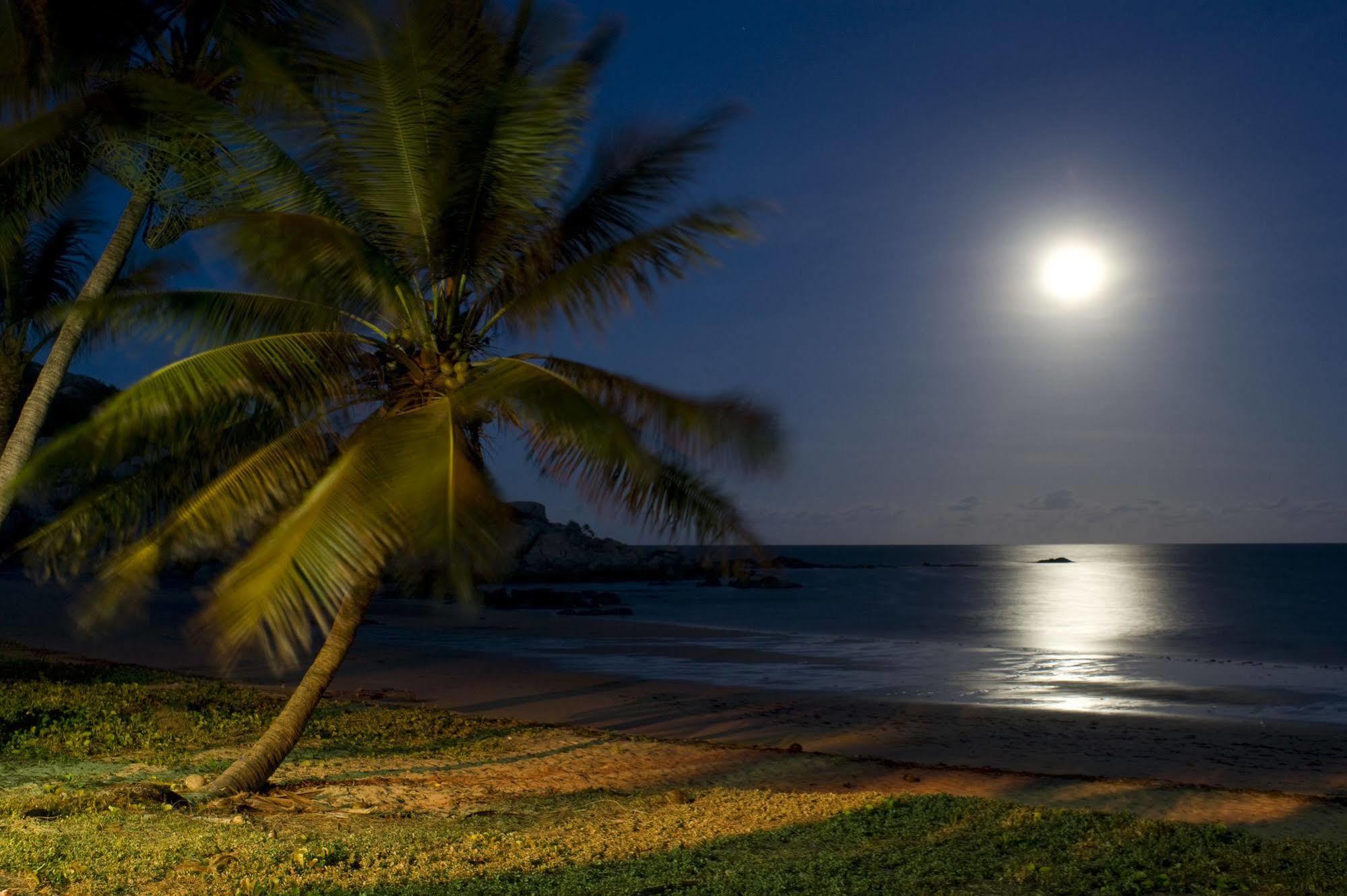 Rose Bay Resort Bowen Bagian luar foto
